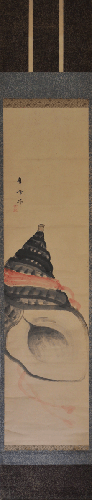 scroll painting of a con shell by Mori Shuho